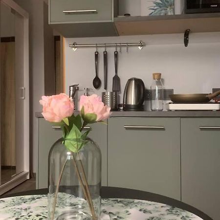 Apartment Near Ozas ヴィリニュス エクステリア 写真