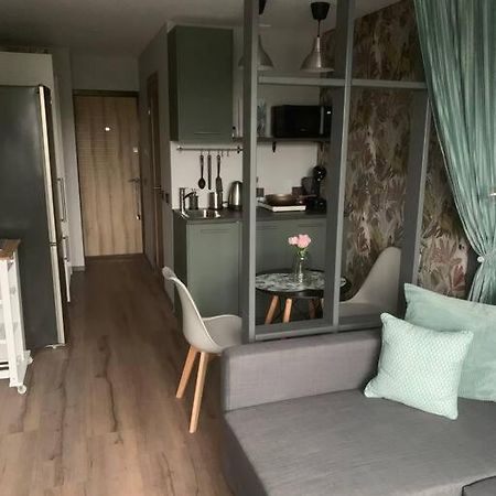 Apartment Near Ozas ヴィリニュス エクステリア 写真