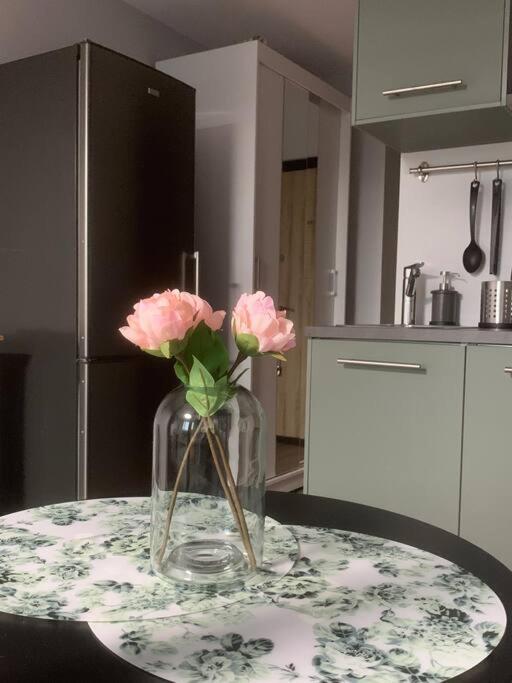 Apartment Near Ozas ヴィリニュス エクステリア 写真