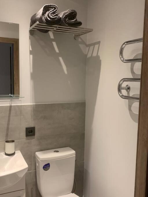 Apartment Near Ozas ヴィリニュス エクステリア 写真