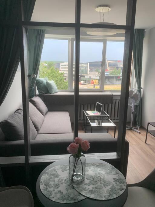 Apartment Near Ozas ヴィリニュス エクステリア 写真