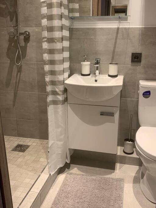 Apartment Near Ozas ヴィリニュス エクステリア 写真