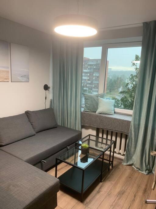 Apartment Near Ozas ヴィリニュス エクステリア 写真
